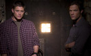 Spn (36)