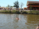 DSC09085
