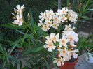 DSCN0159