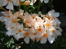 DSCN0171