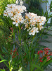 DSCN0199