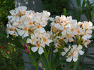 DSCN0200