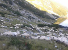 2012-08-05 08.21.14