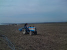 Picture 006