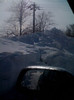 Picture 013