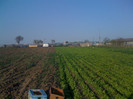 Picture 020