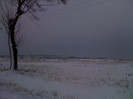 Picture 022