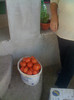 Picture 024