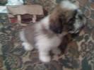 Picture 033