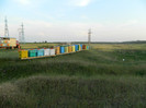 DSCN0479