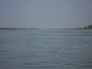 Picture 820
