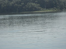 Picture 824