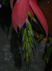 DSCN7775