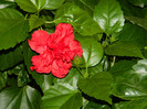 DSCN7777
