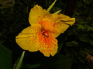 DSCN7792
