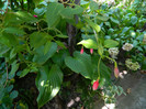DSCN7819