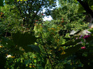 DSCN7820