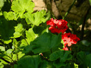 DSCN7825
