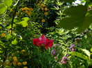 DSCN7829