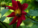DSCN7833