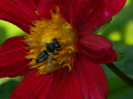 DSCN7835