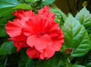 DSCN7842