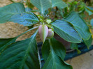 DSCN7847