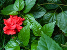 DSCN7848