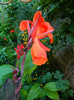 DSCN7852