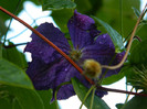 DSCN7857