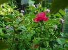DSCN7858