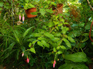 DSCN7859