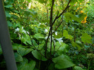 DSCN7861