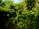 DSCN7862