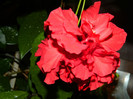 DSCN7876