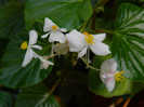 DSCN7877
