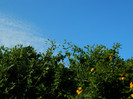 DSCN7878