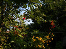 DSCN7879
