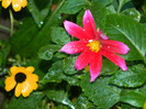DSCN7885