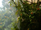 DSCN7902