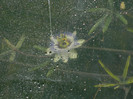 DSCN7912