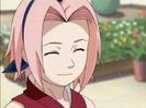 sakura haruno