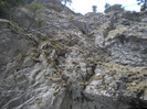 DSCN0784