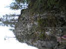 DSCN0793