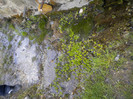 DSCN0799
