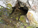 DSCN0800
