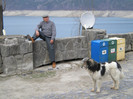 DSCN0778