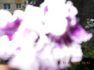 11.08.2012 002