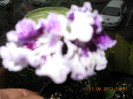 11.08.2012 004