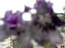 11.08.2012 005